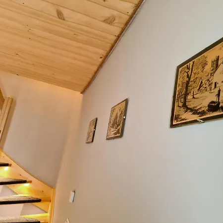 公寓 W Jalowcach Gronkow